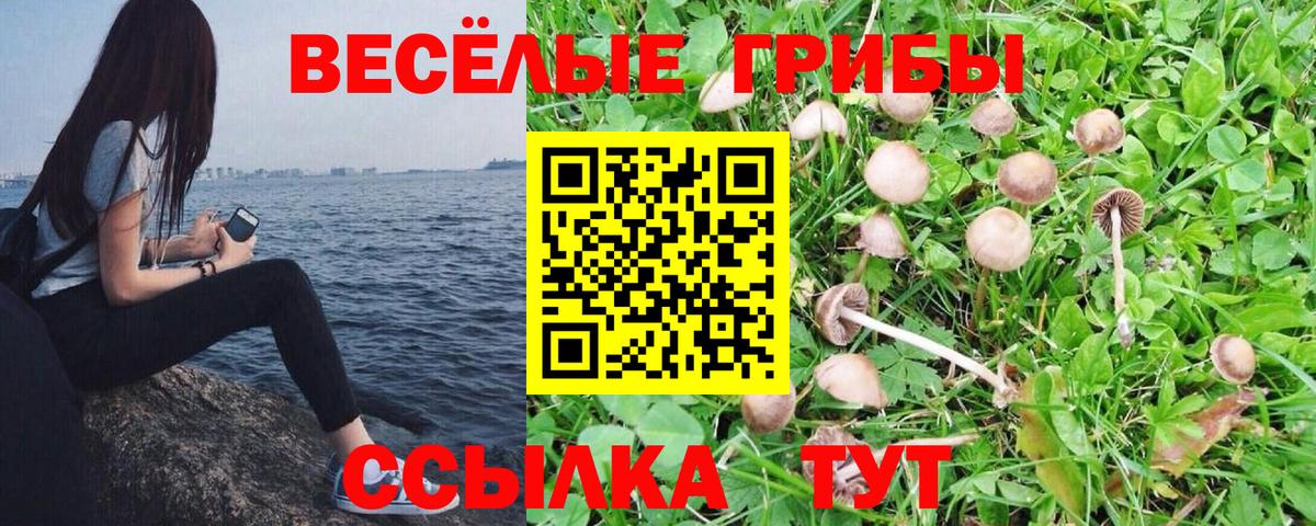 Галлюциногенные грибы ЛСД Шахты